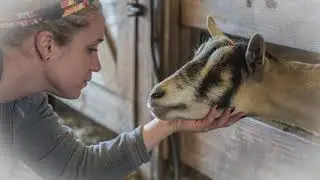 The Dancing Goat Farm overview