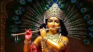 Vidhu's Kitchen is live streaming me swagat he+food+ chat+masti