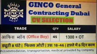 😍Office boy for GINCO ✅| gulf jobs 2025 | dubai jobs | #jobs #gulf #viral #dubai