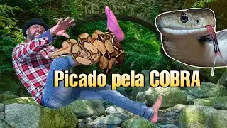 A busca pela SEREIA e seu TESOURO acabou em TRAG&Eacute;DIA (jack charles)
