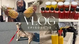 Vlog #16 | Spend the day with me | Active rest day with Rocky | Making juices