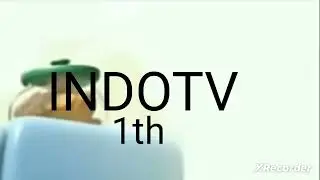 indotv 1th dogs