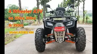 4 Wheeler 250cc Petrol ATV Quad Bike Available on 300cc and 350cc