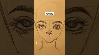 СРАВНЕНИЕ ХАРАКТЕРИСТИК ЖЕНСКИХ И МУЖСКИХ #шорты