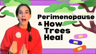 Pruning the Root Cause: How Perimenopause Symptoms Are Treated Wrong (and What Women Really Need)
