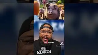 Reaction To Animal Farm Movie