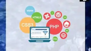 Best Web Development Company in Toronto