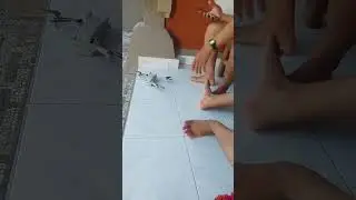 tes terbang drone dji 3 malah nabrak tembok