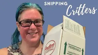 Shipping Adorable Critters - How to Ship Reptiles