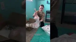 Создаю комнату мечты для своей дочери! 💙🎨 Смотрите до конца, чтобы увидеть её реакцию ❤️☺️ #сдела...