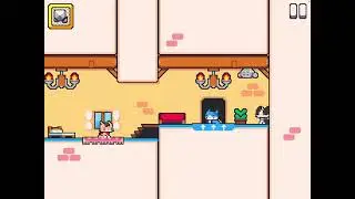 The inn disaster! Super cat tales paws 🐾 