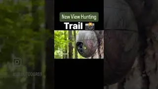 New View Hunting Trail Camera #trailcam #trailcamera #huntingcamera #shorts #deercamera
