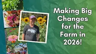 The big changes I am making on my Texas flower farm for 2026!
