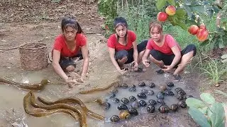 Survival skills: Catch Eel in rainforest for food, Eel soup chili tasty for food, Pick snail & Apple