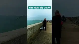 🫣HUGE CATCH IN DOVER! #fishing #shortsvideo