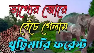 Khuttimari Reserve Forest - A Rare Forest in North Bengal You Must Visit||@jajabarbapi