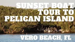 Sunset Pontoon Tour to Pelican Island National Wildlife Preserve: Things to do in Vero Beach