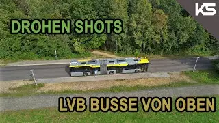 L&ouml;we und Dackel von oben # Drohnenflug von MAN und Solaris Bussen der LVB