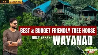 Tree House Wayanad | Best Forest Treehouse Stay in Wayanad | Culture Travel #kerala