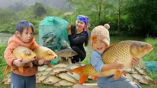 Clean Wild Stream Fish- Catching to Sell | Perfect Fishing Day of Chuc Duong Family | Village Life