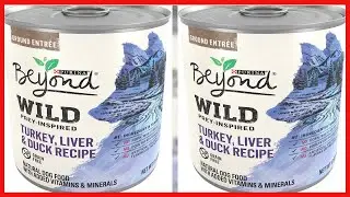 Purina Beyond High Protein, Grain Free, Natural Pate Wet Dog Food, WILD Turkey, Liver & Duck Recipe