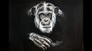 Painting With Only Black and White / Chimpanzee Painting Time-Lapse / Gouache