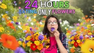 Eating Only flowers 🌹🧿for 24 Hours@ShivShiv1111 @inishutiwari @AayushSapra @GarimasGoodlife #food 