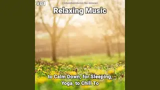 Perfect New Age Music