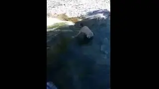 Poza del r&iacute;o Bellos junto al camping Valle A&ntilde;isclo (Puyarruego-Huesca)