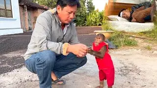 So Smart & Caring! CUTIS Asks Neighbors for Help When Dad Is Sick
