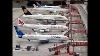 MCO Orlando Airport  April 2025