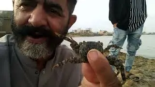 fishing in shumar goth hawksbay