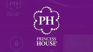 Princess House&reg; Precision-1800 Plus Induction Burner #PrincessHouse #PHPatty