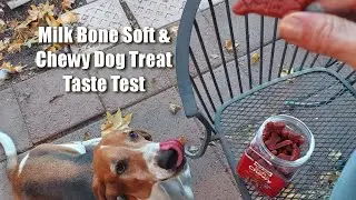 Milk Bone Soft Chew Dog Treats (Look Inside - Dog Taste Test!)
