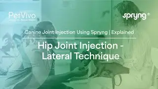 Canine Hip Joint Injections | Lateral Injection Technique Explained