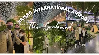 THE ORCHARD IN HAMAD INTERNATIONAL AIRPORT DOHA QATAR | TRAVELLING TO DUBAI UAE 2024 (QATAR AIRWAYS)