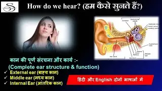 Human ear | Ear Function | How do we hear | Human sense organ | Human Physiology | General Science
