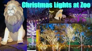 🎄🎅Christmas lighting at Zoo|Cheyenne Mountain Zoo | Colorado Springs #christmas #decoration