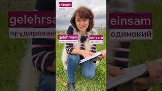 🇩🇪 суффикс -sam #bozenakorn #боженакорн #немецкий