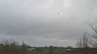30 Mins HD Video of Clouds and Birds 🐦 | Wonderful Relaxing Time with perfect weather and Nature 