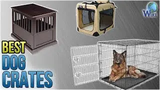10 Best Dog Crates 2018