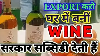 Home made Wine । Fruit wine making at home । Difference between Whisky, Rum, votka and Daru 