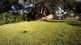 FPV- Tuning the HT Flip