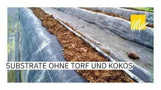 Substrate ohne Torf und Kokos (Res Schilling, &Ouml;kohum)