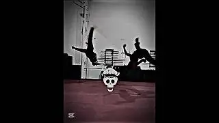 Kwon and Zara martial arts skills in real life #cobrakai #cobrakaiedit #kwonjaesung #zaramalik #fyp