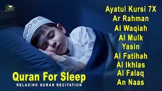 Soothing Quran for Deep Sleep | Fatiha, Ayatul Kursi, Rahman, Al-Mulk, Yasin, Al-Waqiah - Alaa Aqel