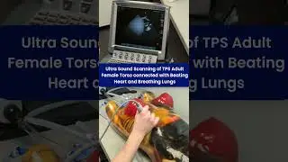 Ultra Sound Scanning of New TPS Female Torso