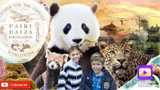 PAIRI DAIZA Belgique! Plus grand parc animalier d'Europe!