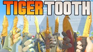 All Tiger Tooth Knives In CS2 | CS2 Knife Gameplay