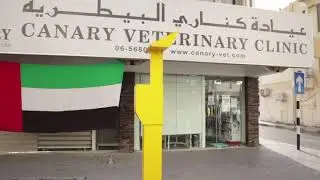 CANARY VET CLINIC - SHARJAH